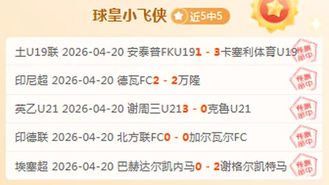 罗塞尼尔助教团队资历不足，霍兰或成救星